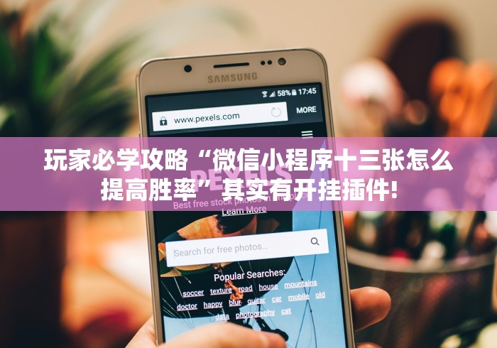 玩家必学攻略“微信小程序十三张怎么提高胜率”其实有开挂插件!