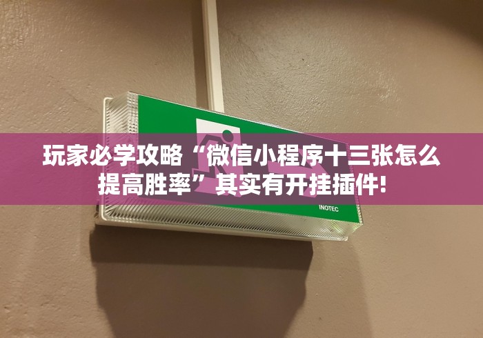 辅助教程分享“海讯麻将开挂神器软件”辅助透视教程