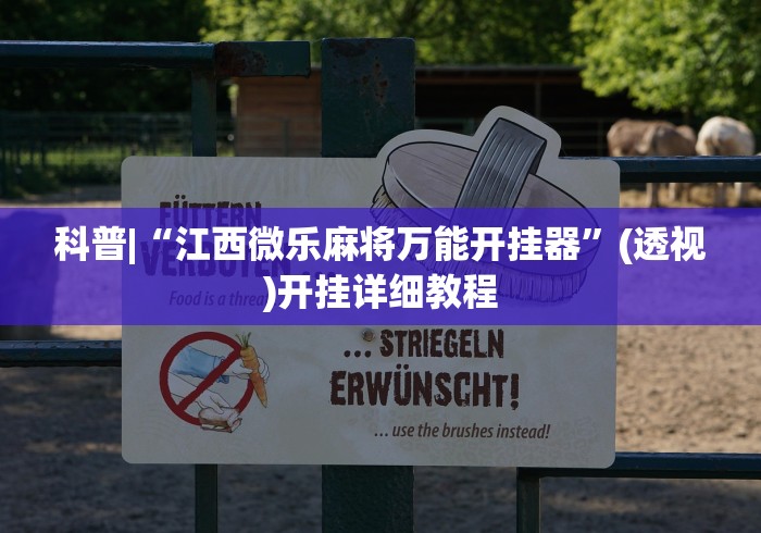 科普|“江西微乐麻将万能开挂器	”(透视)开挂详细教程