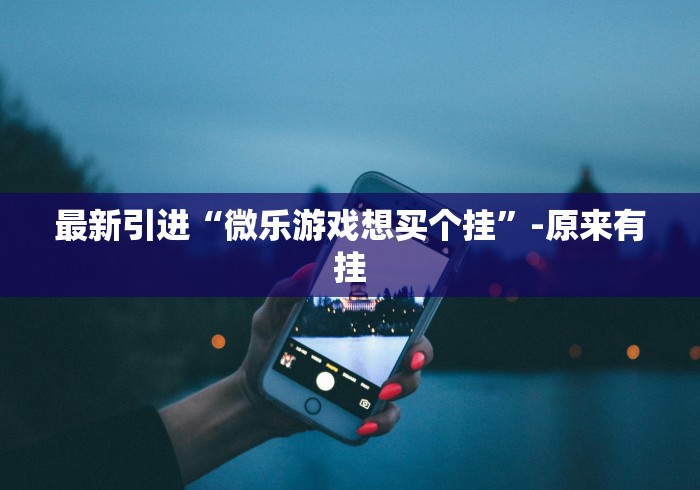 最新引进“微乐游戏想买个挂”-原来有挂