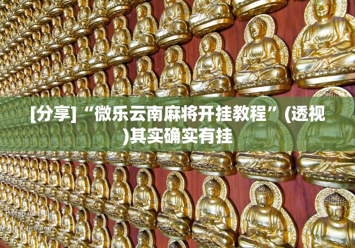 [分享]“微乐云南麻将开挂教程”(透视)其实确实有挂