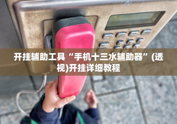 开挂辅助工具“手机十三水辅助器	”(透视)开挂详细教程