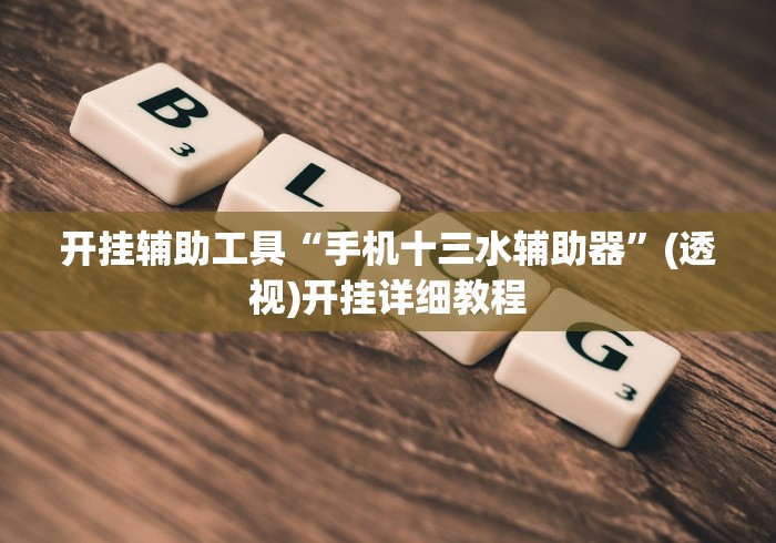 开挂辅助工具“手机十三水辅助器”(透视)开挂详细教程