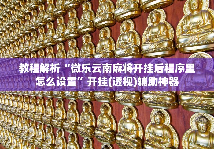 教程解析“微乐云南麻将开挂后程序里怎么设置	”开挂(透视)辅助神器
