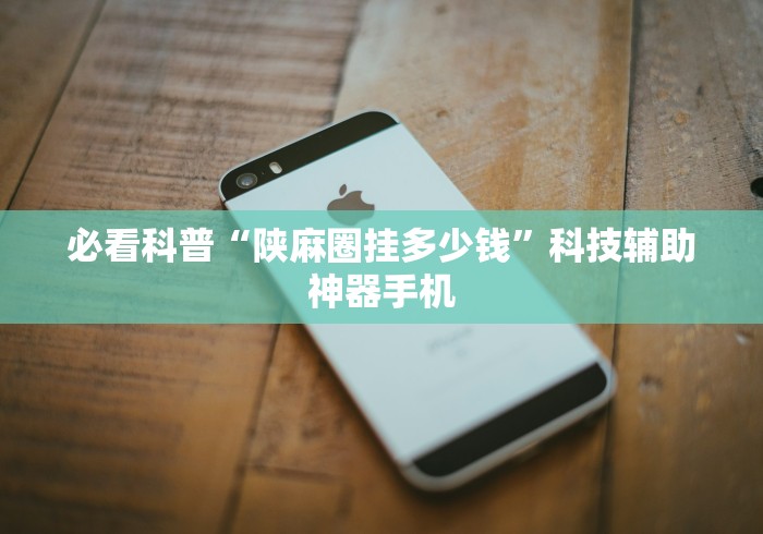 必看科普“陕麻圈挂多少钱”科技辅助神器手机