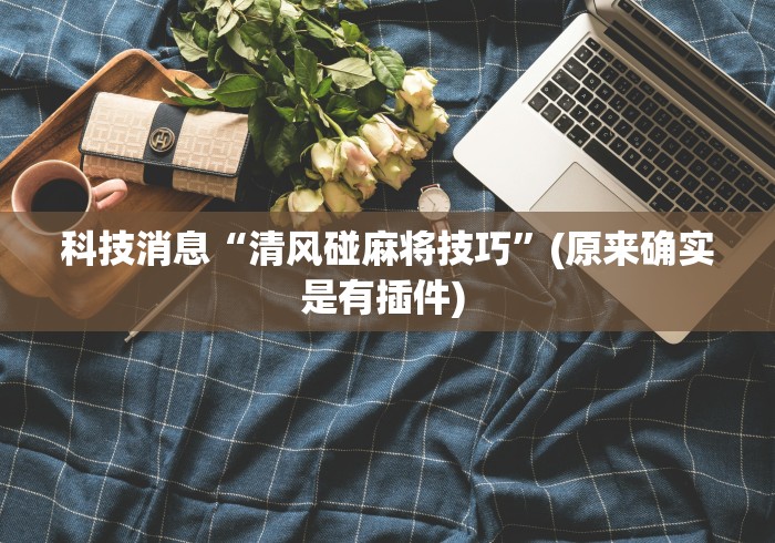 科技消息“清风碰麻将技巧”(原来确实是有插件) 