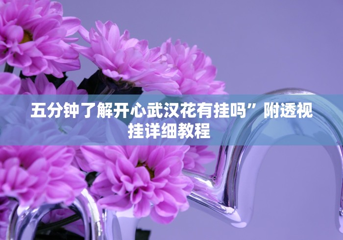 五分钟了解开心武汉花有挂吗	”附透视挂详细教程 