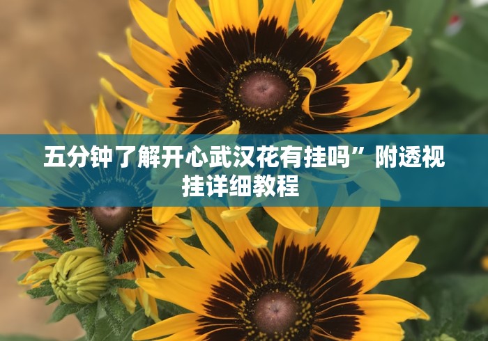 五分钟了解开心武汉花有挂吗”附透视挂详细教程 