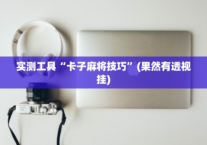 实测工具“卡子麻将技巧”(果然有透视挂)