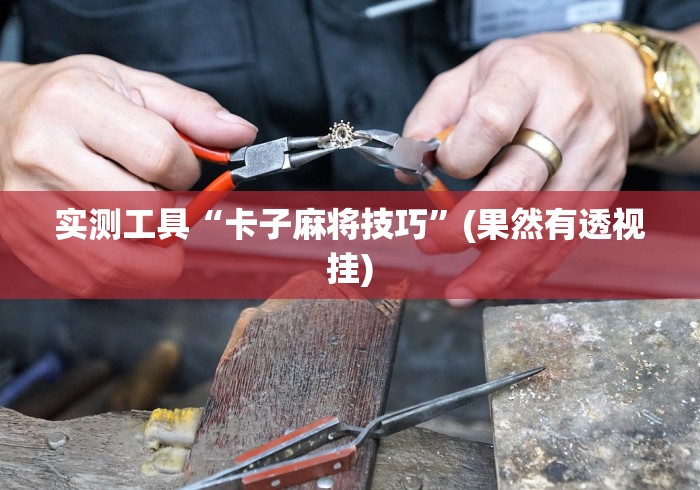 实测工具“卡子麻将技巧	”(果然有透视挂)
