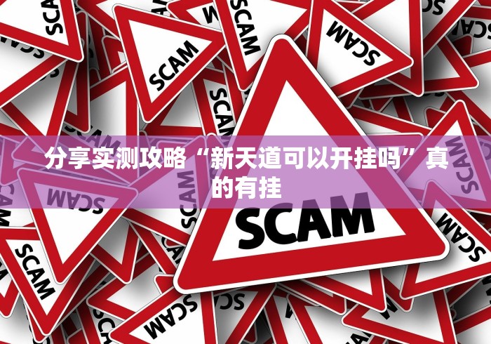 分享实测攻略“新天道可以开挂吗”真的有挂