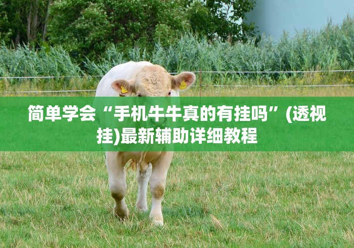 简单学会“手机牛牛真的有挂吗”(透视挂)最新辅助详细教程