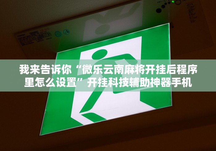 我来告诉你“微乐云南麻将开挂后程序里怎么设置”开挂科技辅助神器手机
