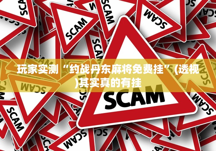 2026最新助赢神器“宜春麻将的打法和技巧”(原来确实是有插件) 