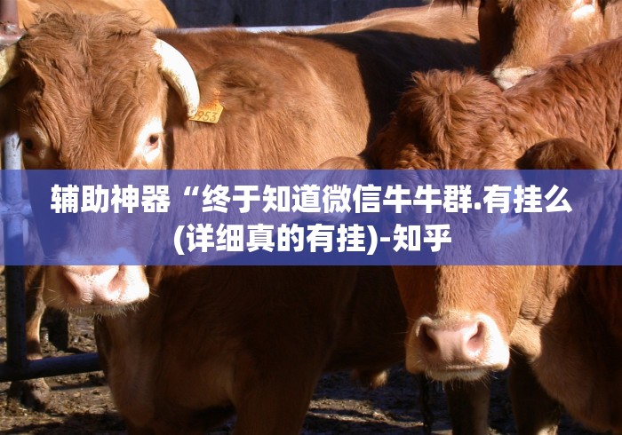 辅助神器“终于知道微信牛牛群.有挂么(详细真的有挂)-知乎 辅助神器“终于知道微信牛牛群.有挂么(详细真的有挂)-知乎