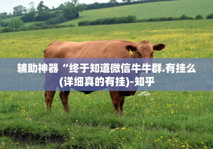 辅助神器“终于知道微信牛牛群.有挂么(详细真的有挂)-知乎 辅助神器“终于知道微信牛牛群.有挂么(详细真的有挂)-知乎
