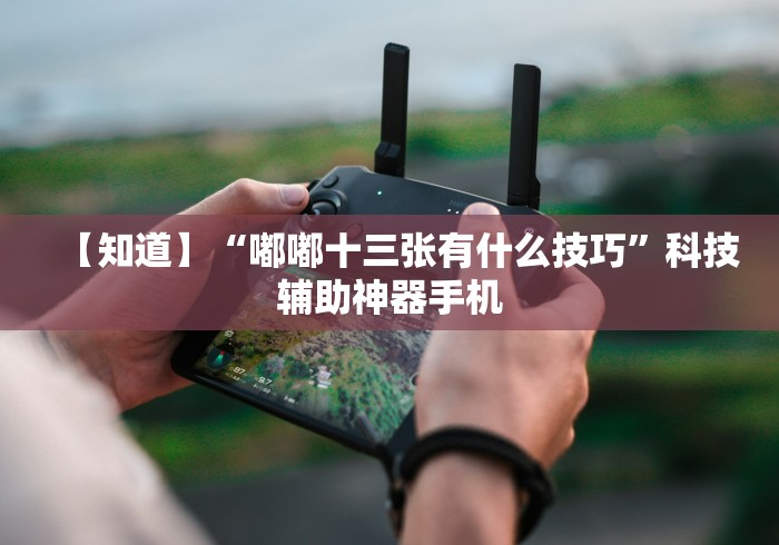 【终于出现】“海南微乐麻将如何赢”详细外挂辅助详细教程