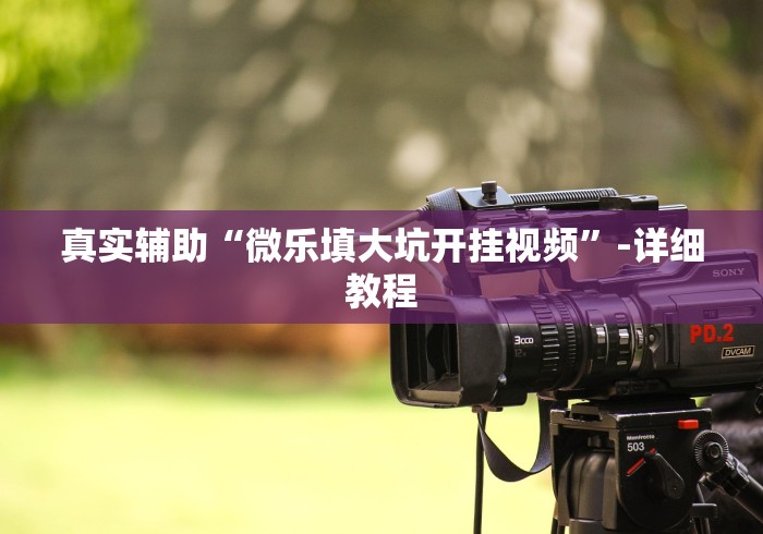 教程解析“心悦麻将填大坑有挂吗”作弊挂(辅助外挂+教程)