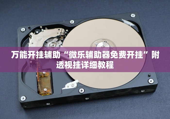 万能开挂辅助“微乐辅助器免费开挂	”附透视挂详细教程
