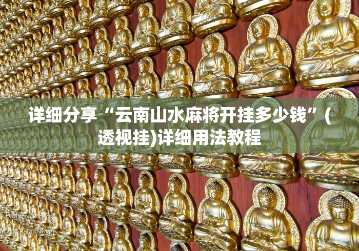 详细分享“云南山水麻将开挂多少钱	”(透视挂)详细用法教程