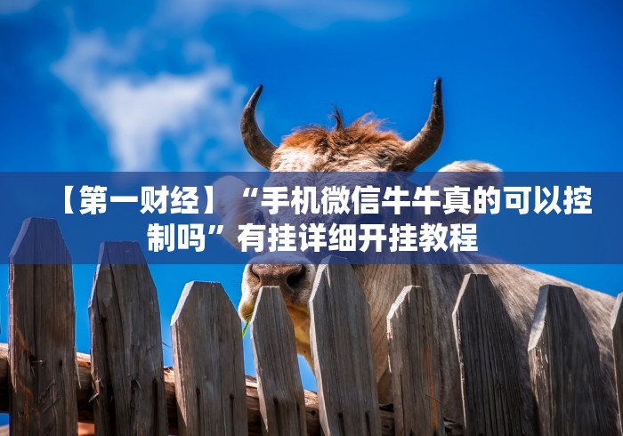 实测教程“微乐捉鸡麻将怎样玩才能赢分	”-详细教程