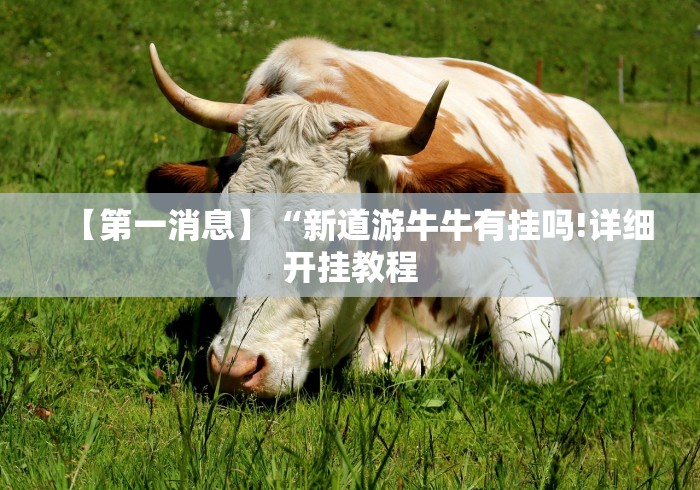 [教程经验]“乐喜麻将有没有挂”详细外挂透视辅助软件教程
