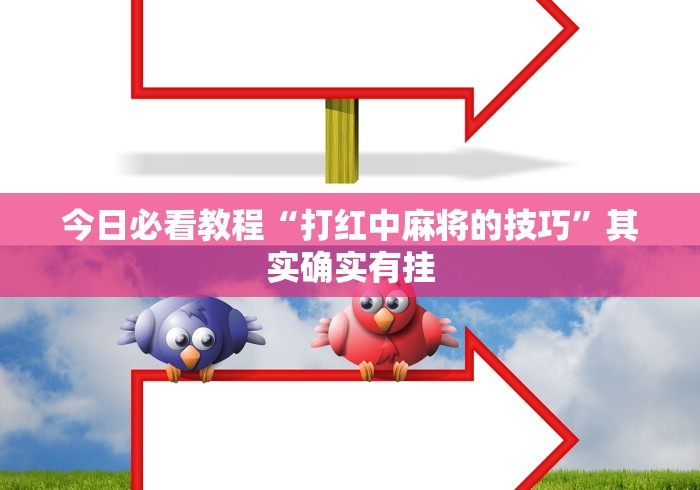 今日必看教程“打红中麻将的技巧”其实确实有挂
