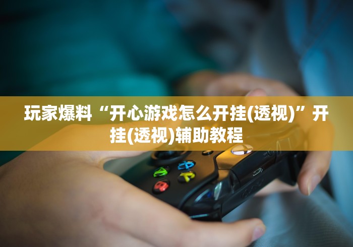 玩家辅助神器:“十三张有没有挂?”(果然有透视挂) 