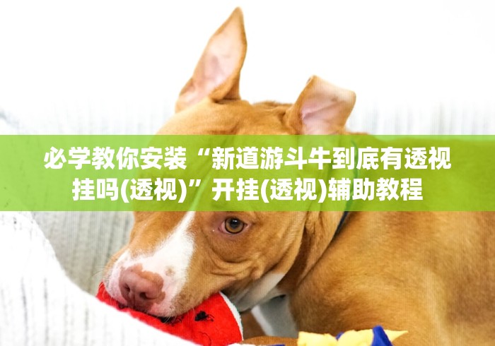 实测神器辅助“微乐江西麻将小程序必赢神器免费”详细辅助软件教程