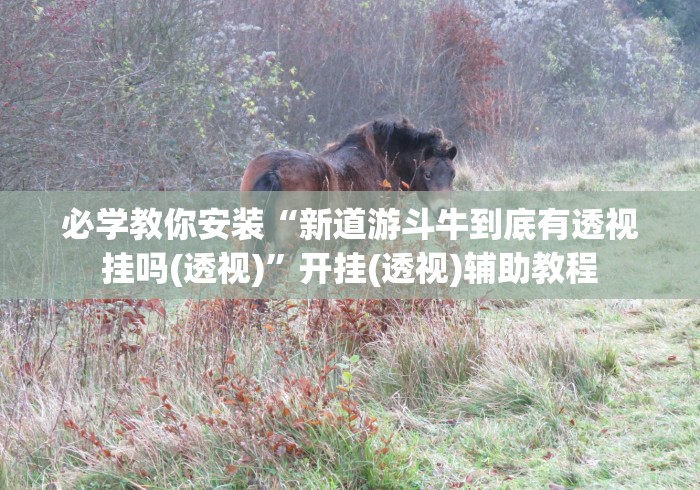 必备教程“云霄麻将可以开挂吗	”事实上确实有挂