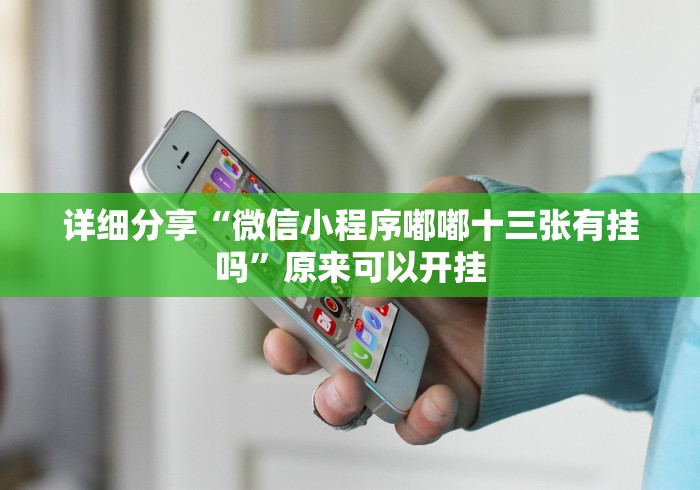 安装程序教程“小程序广东雀神麻将有挂吗”辅助透视教程