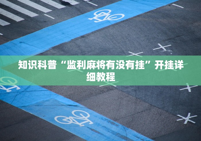 实测辅助“山烽在线挂件购买渠道”(必备工具)辅助教学
