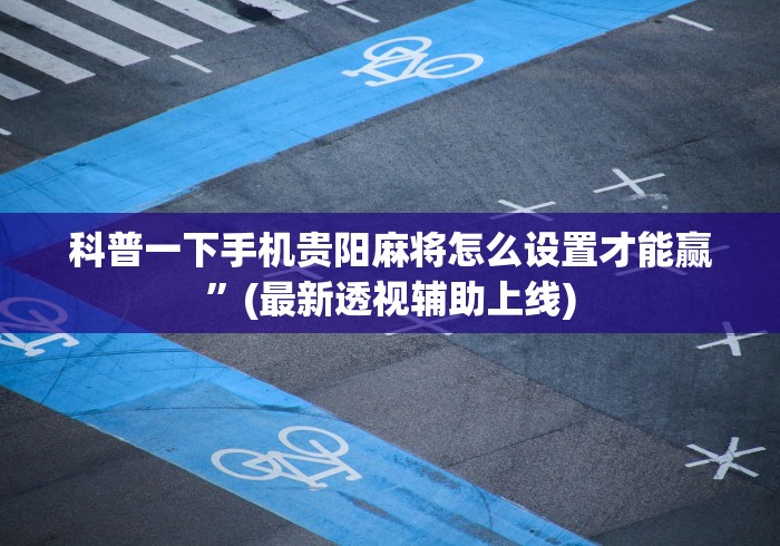 4分钟讲解"微乐二七王辅助软件下载”作弊挂(辅助外挂+