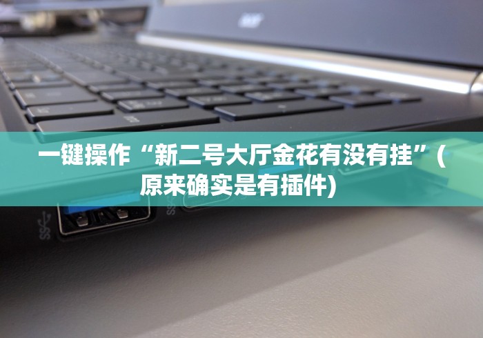 一键操作“新二号大厅金花有没有挂	”(原来确实是有插件) 