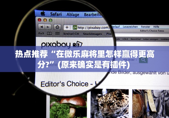 【第一发现】“财神十三水辅助”(详细透视教程)-