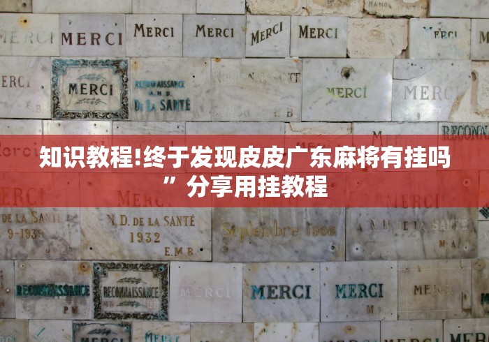 知识教程!终于发现皮皮广东麻将有挂吗”分享用挂教程