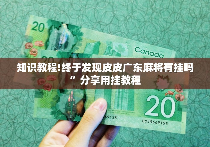 知识教程!终于发现皮皮广东麻将有挂吗”分享用挂教程