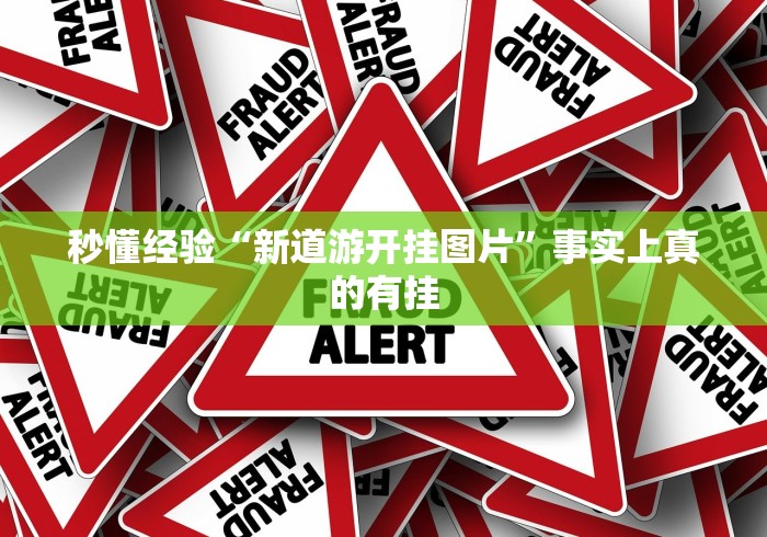 秒懂经验“新道游开挂图片”事实上真的有挂