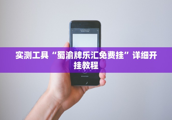 实测工具“蜀渝牌乐汇免费挂”详细开挂教程