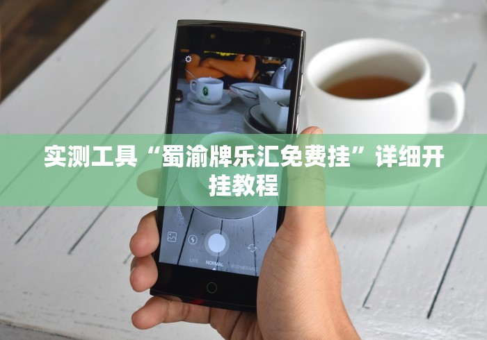 实测工具“蜀渝牌乐汇免费挂”详细开挂教程