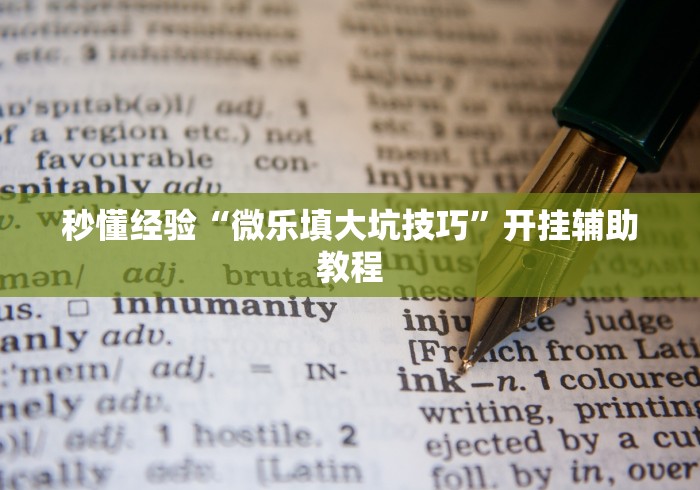 秒懂经验“微乐填大坑技巧	”开挂辅助教程