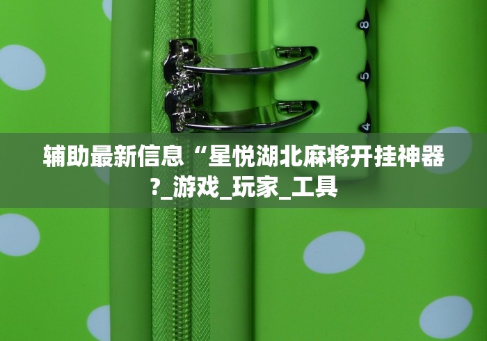 必备科技“小程序麻将有挂不—我来教你开挂”-玩家曝光开挂流程