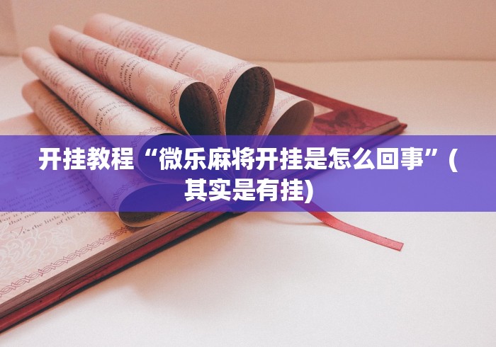 玩家辅助神器:“微乐透视辅助器下载安装”辅助挂下载