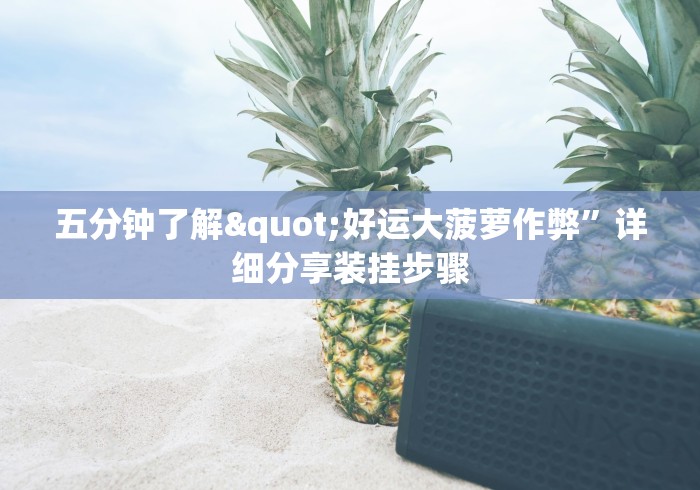 五分钟了解"好运大菠萝作弊”详细分享装挂步骤