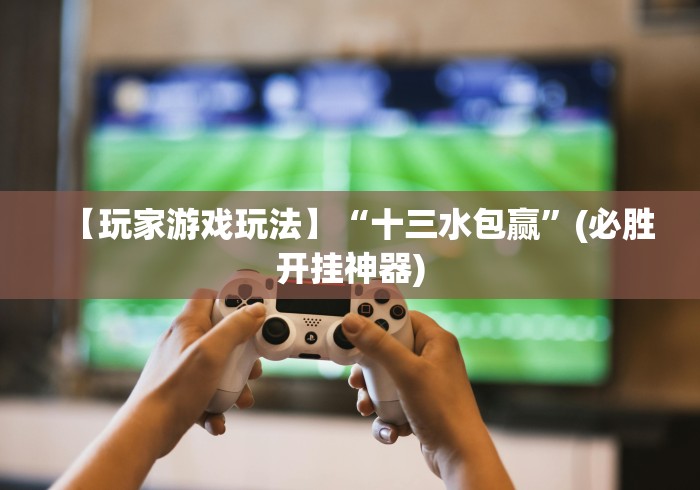【玩家游戏玩法】“十三水包赢	”(必胜开挂神器)