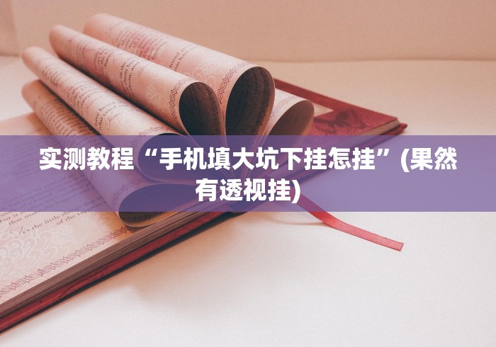 实测教程“手机填大坑下挂怎挂	”(果然有透视挂)