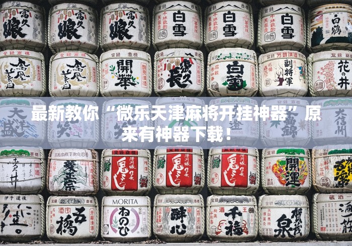 最新教你“微乐天津麻将开挂神器”原来有神器下载！