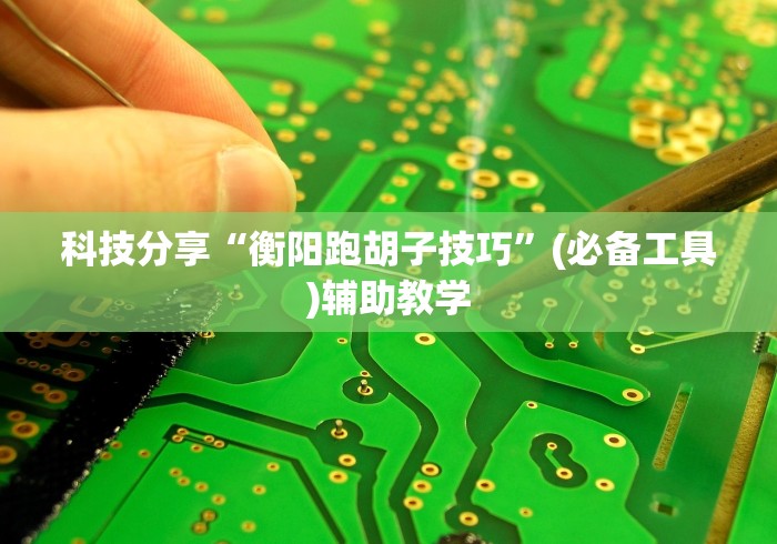 科技分享“衡阳跑胡子技巧”(必备工具)辅助教学