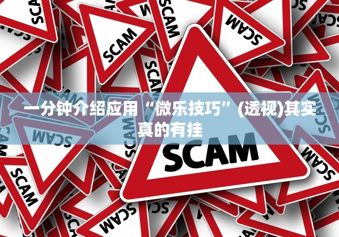 一分钟介绍应用“微乐技巧	”(透视)其实真的有挂