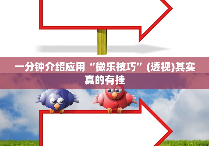 一分钟介绍应用“微乐技巧”(透视)其实真的有挂